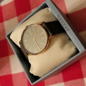 Skagen Signatur Watch
